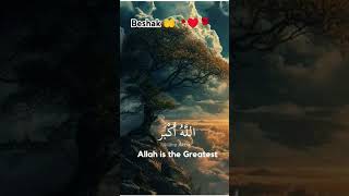 Beshak Allah 🤲♥️🥀#islamicstatus #allah #shortviral 🌹✨...