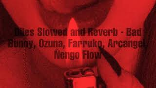 Diles slowed and reverb - bad bunny, ozuna, farruko, arcangel, ñengo flow