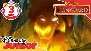 The Lion Guard | I Have A Plan Song - Scar 🦁 | Disney Junior UK