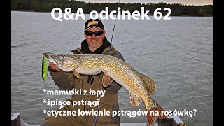 Q\u0026A odcinek 62 - duże szczupaki - miejscówki i pora dnia. Czy pstrągi śpią?