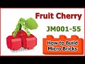 How to Build Mini Bricks Fruit Cherry JM001-55 Review Manual Specifications