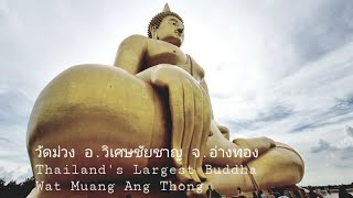 Thailand's Largest Buddha หลวงพ่อใหญ่ วัดม่วง อ.วิเศษชัยชาญ จ.อ่างทอง , เที่ยวอ่างทอง ทริปไหว้พระ