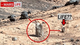 NASA Mars Rover Perseverance Sent Shocking 360° Footage of Mars Life! Curiosity' Rover Mars in 4K
