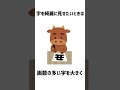 日常生活に関する面白い雑学　 shorts 豆知識