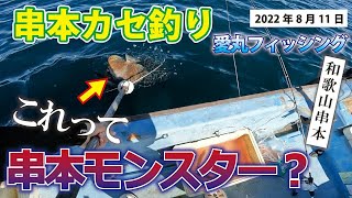 串本大島のカセでブリとマアジ狙い！のはずが【怪魚】釣れました！