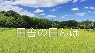 島根県浜田市♡田舎ののどかな田んぼ♡過疎化でも残したい景色