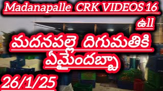 26/1/25 madanapalle Tomato market stock today 🍅 మదనపల్లె టమోటారేట్లు #crkvideos16 #todaytomatorate