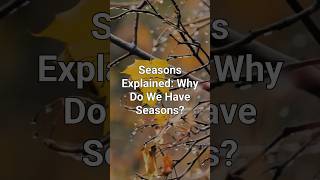 Seasons Explained: Why Do We Have Seasons?