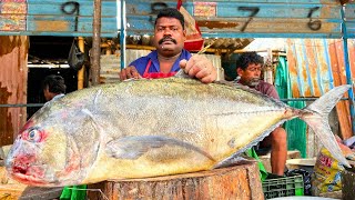 KASIMEDU 🔥 SPEED SELVAM | 33 KG GIANTS TREVALLY FISH CUTTING VIDEO | IN KASIMEDU | FF CUTTING 🔪