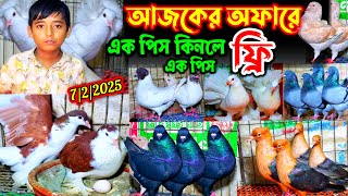 আজকের অফারে- ১ পিস কনলে ১ পিস ফ্রি | ১০০% ডিম বাচ্চা গ্যারান্টি সহ পানির দামে কবুতর কিনুন | pigeons