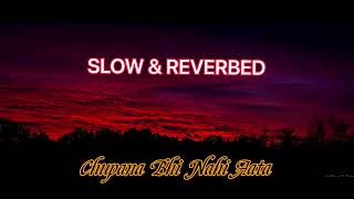 Chupana Bhi Nahi Aata || Slow & Reverbed || Lofi Music || Unplugged || Sad Songs || Shah Rukh Khan