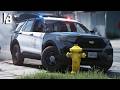LAPD FiveM Roleplay Gets Insanely Realistic