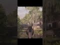 Hunt Showdown: Long Pistol Shot