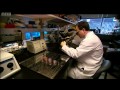 Cord blood   could an umbilical cord really save lives   Horizon   Lifeblood   BBC