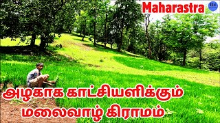 மகாராஷ்ரா கிராமத்தில் உள்ள DABHOSA நீர்வீழ்ச்சி மற்றும் மலைகள் | Tourist places in india | #travel