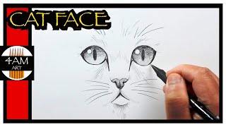 How to Draw a Simple Cat Face