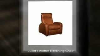 Coja Leather Furniture | MassageChairs.com