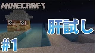 実況 素人に Minecraft １時間建築をやらせるとこうなる ６人目