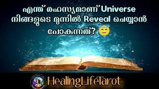 എന്ത് രഹസ്യമാണ് Universe നിങ്ങൾക്ക് മുന്നിൽ Reveal ചെയ്യാൻ പോകുന്നത്?😇🧿🔮 #guidancemessages #tarot