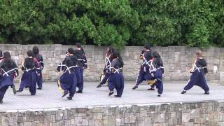 2015 ザ・よさこい 大江戸ソーラン祭り１３HatchPotch