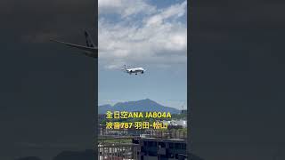 休息時間看飛機降落真舒壓 日本航空 全日空 ANA JA804A