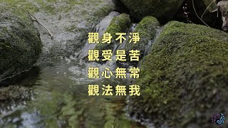 佛教修行核心：四念處的實踐與意義 | 易經指南針