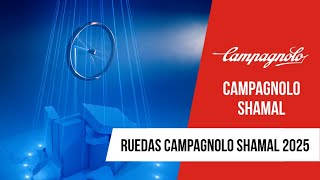 Ruedas Campagnolo Shamal 2025