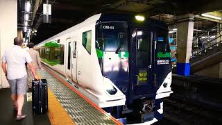 E257系5000番台がミュージックホーンを鳴らしながら大宮駅を発車！