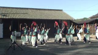 よさこい連わ　2016篠山よさこい　春日神社