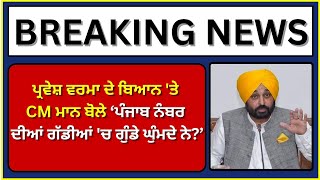 CM Bhagwant Mann | ਪ੍ਰਵੇਸ਼ ਵਰਮਾ ਦੇ ਬਿਆਨ 'ਤੇ CM ਮਾਨ ਨੇ ਚੁੱਕੇ ਸਵਾਲ | India News Punjab