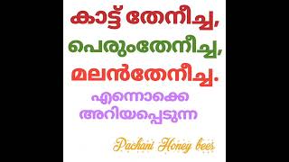 കാട്ട് തേനീച്ച മലന്തേനീച്ച apis വർഗ്ഗത്തിൽ പെട്ട apis dorseta എന്ന് അറിയപ്പെടുന്ന കാട്ട് തേനീച്ച