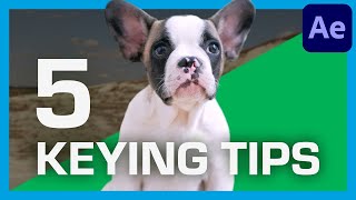 5 GREEN SCREEN Keying Tips For Beginners! | ActionVFX Quick Tips
