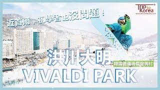 【TK Travel】韓國 洪川大明 VIVADI PARK 滑雪度假村⛷