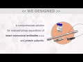 bioresolve rp mab polyphenyl columns for protein separations