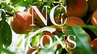 NC Icons: Sandhills Peaches