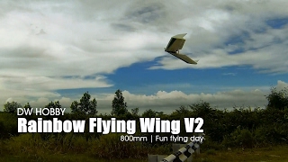 DW Hobby Rainbow Wing V2 - Fun flying day (Courtesy from Banggood.com)