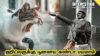 நம் வாழ்நாளில் இதுவரை அறிந்திராத சுவாரஸ்யமான விஷயங்கள் |Interesting facts in tamil