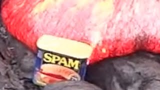 LAVA VS. SPAM