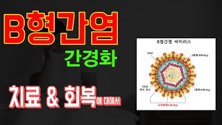 B형간염, 간경화, 간염치료와 초음파검사 (탄성영상, elastography).  간, 앞으로의 관리는?