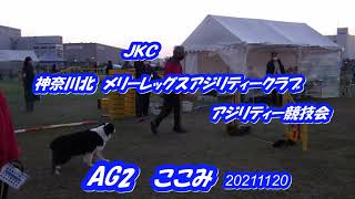 JKC 神奈川北 メリーレッグスアジリティークラブ競技会 AG2 ここみ