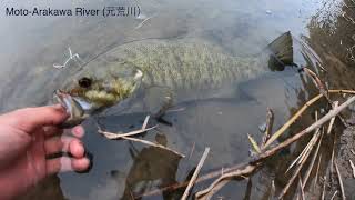 [FINALLY!!]Fishing for small mouth bass in Moto Arakawa River.