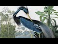 Birds of America – trailer | IFFR 2021