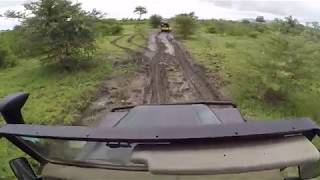 Bush road - Selous - Tanzania - Mikumi - Serengeti - 2019 Safari Africa