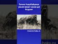 Зачем Азербайджан увеличивает военный бюджет