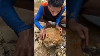 Looking for gold and panning for gold buried in#gold #goldpanning #mininggold #goldhunter