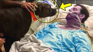 Dying Man Says Final Goodbye To His Dog - Just Watch The Dog's AMAZING Reaction!