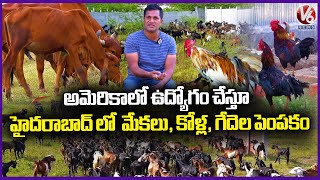 NRI Returns to Roots, Establishes Successful Poultry, Goat, and Dairy Farm  |V6 News