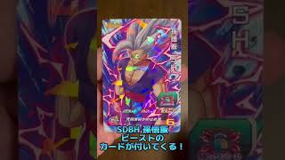 【SDBH】Vジャンプ2023年1月特大号付録のカード【DRAGON BALL】