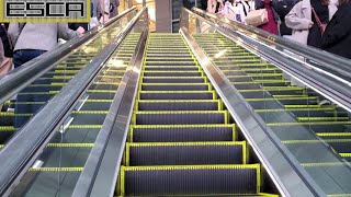 ＪＲ 名古屋駅 エスカレーター 桜通口 1F-2F 上り Nagoya station Escalator