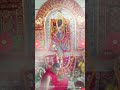 Joy maa kali 🌺 🙏 # dev darsan # shorts # trending # viral # video # ❤